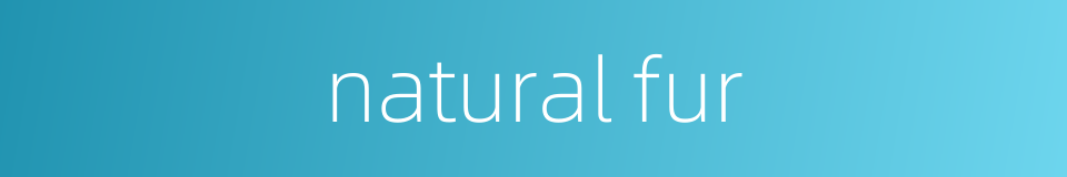 natural fur的同义词