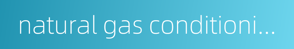 natural gas conditioning plant的同义词