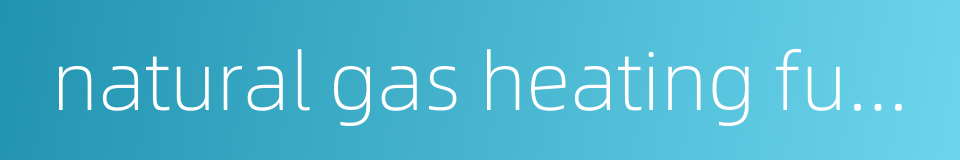 natural gas heating furnace的同义词