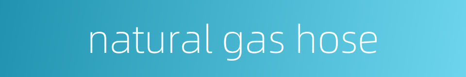 natural gas hose的同义词