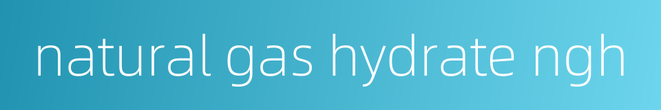 natural gas hydrate ngh的同义词