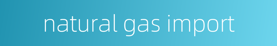 natural gas import的同义词