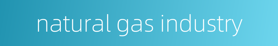 natural gas industry的同义词