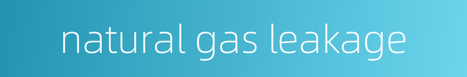 natural gas leakage的同义词