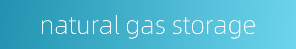 natural gas storage的同义词