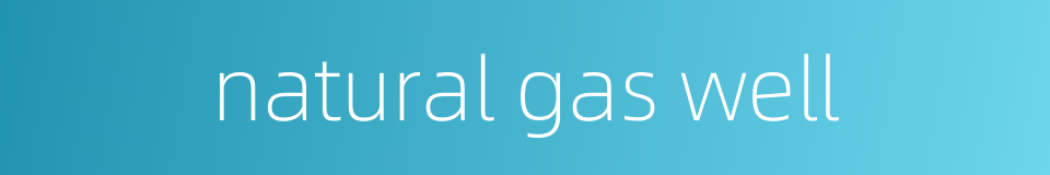 natural gas well的同义词