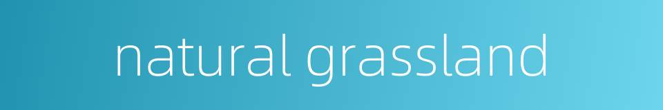 natural grassland的同义词