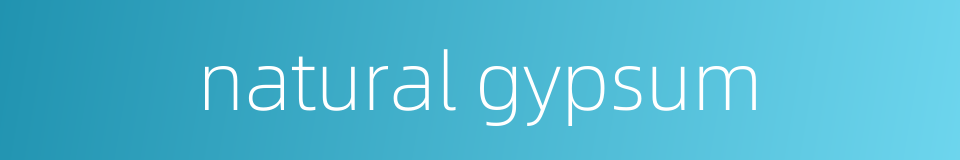 natural gypsum的同义词