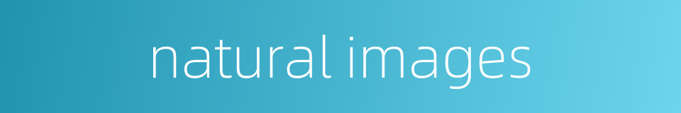 natural images的同义词
