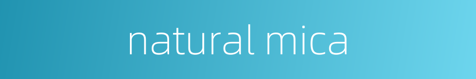 natural mica的同义词