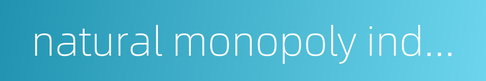 natural monopoly industry的同义词
