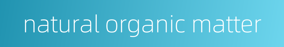 natural organic matter的同义词