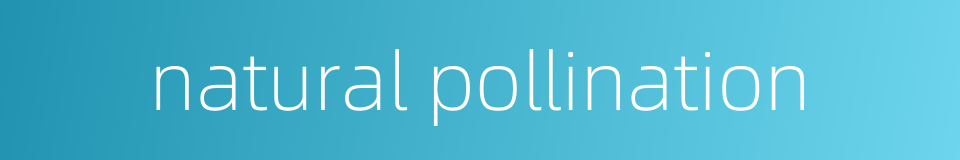 natural pollination的同义词