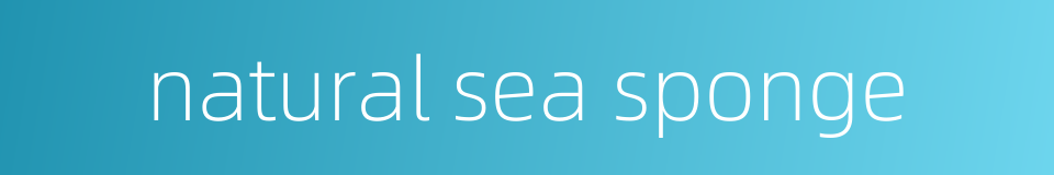 natural sea sponge的同义词