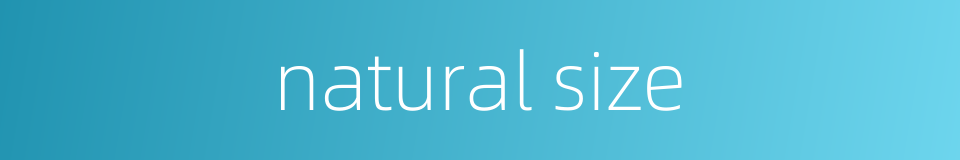 natural size的同义词