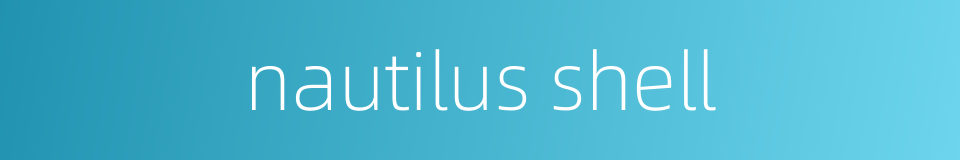 nautilus shell的同义词