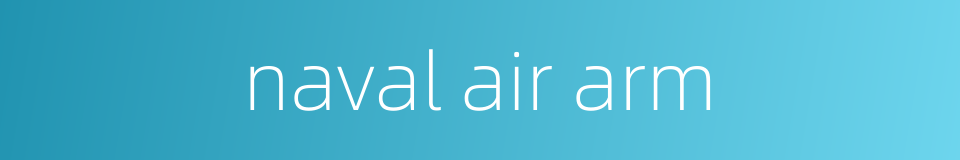 naval air arm的同义词