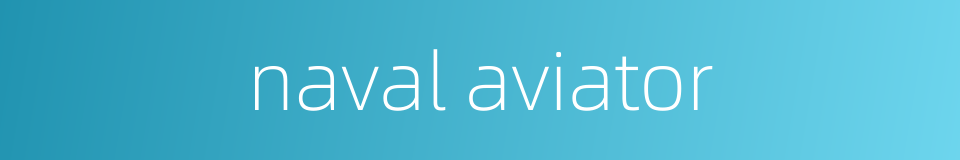 naval aviator的同义词
