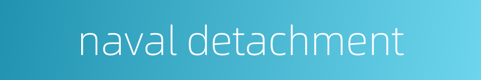 naval detachment的同义词