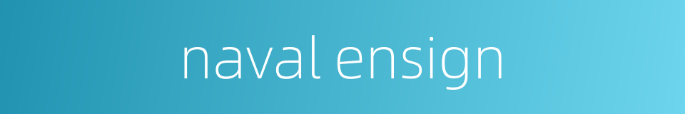 naval ensign的同义词