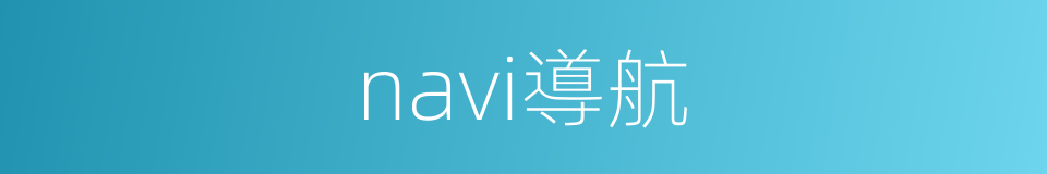 navi導航的同義詞