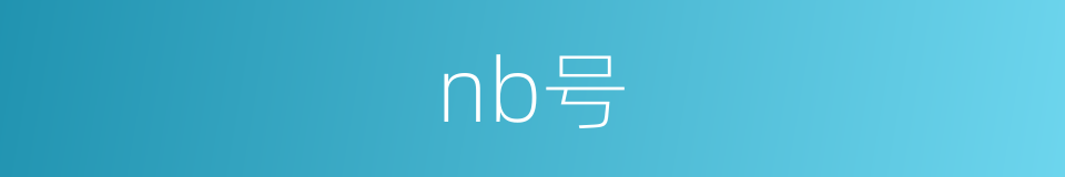 nb号的同义词