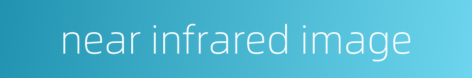 near infrared image的同义词