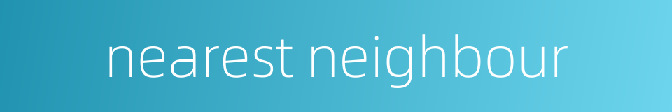 nearest neighbour的同义词