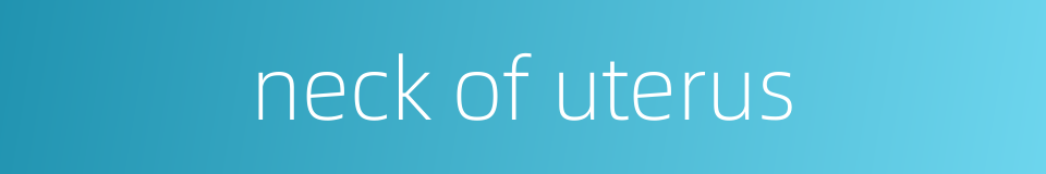 neck of uterus的同义词