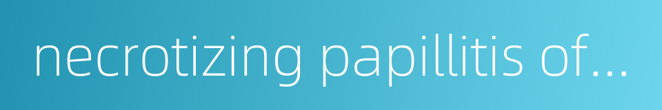 necrotizing papillitis of kidney的同义词