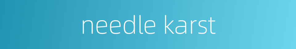 needle karst的同义词