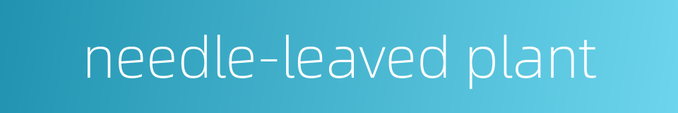 needle-leaved plant的同义词