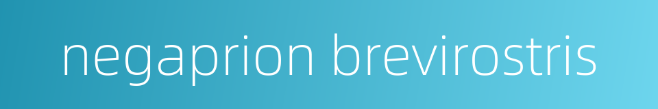 negaprion brevirostris的同义词