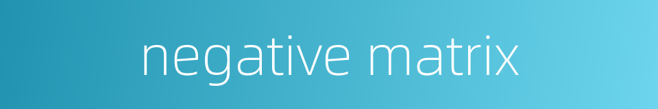 negative matrix的同义词