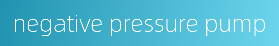 negative pressure pump的同义词