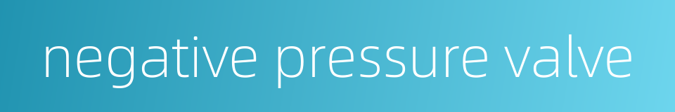 negative pressure valve的同义词