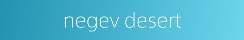 negev desert的同义词