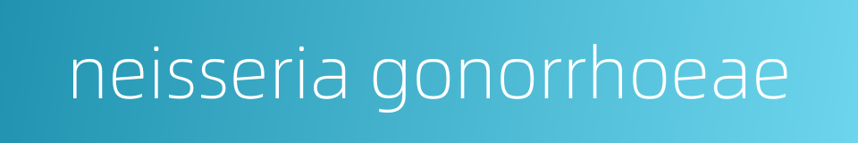 neisseria gonorrhoeae的同义词