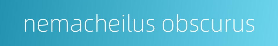 nemacheilus obscurus的同义词
