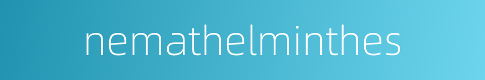 nemathelminthes的同义词