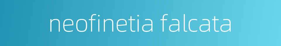 neofinetia falcata的同义词