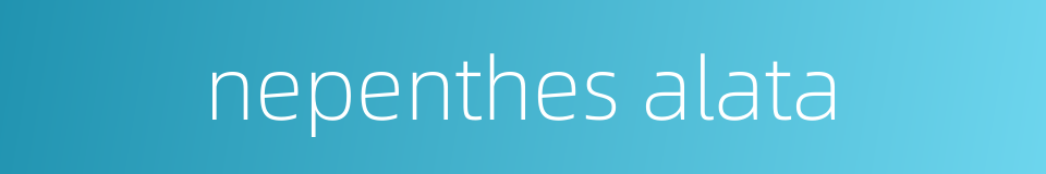 nepenthes alata的同义词