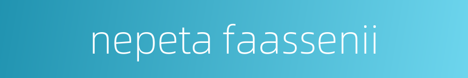 nepeta faassenii的同义词