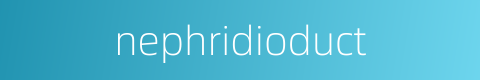 nephridioduct的同义词