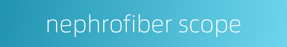 nephrofiber scope的同义词