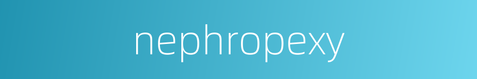 nephropexy的同义词