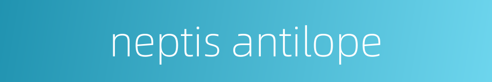 neptis antilope的同义词