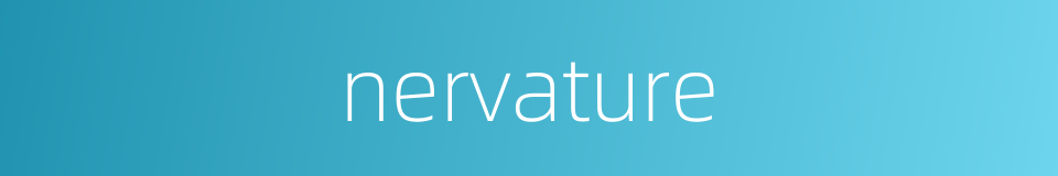 nervature的同义词