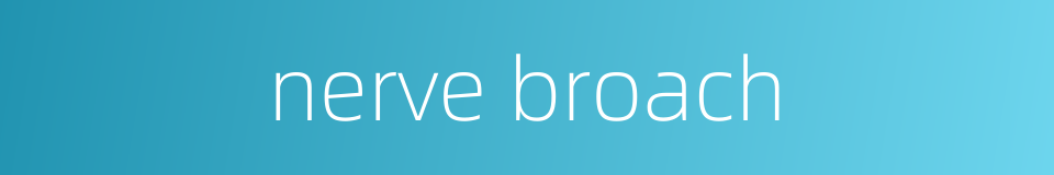 nerve broach的同义词