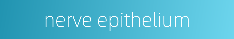 nerve epithelium的同义词